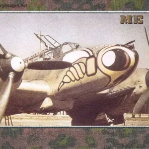 Me-110_WASP_NOSE_ART