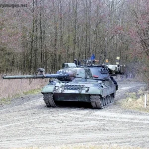 Leopard 1 BE