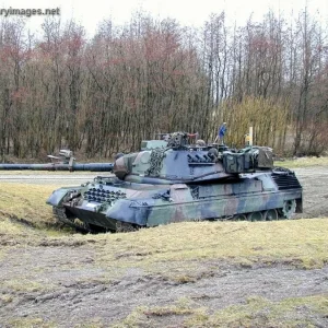 Leopard 1 BE