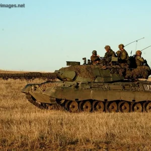 Leopard C2