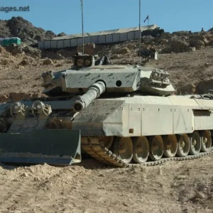 Leopard C2