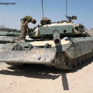 Leopard C2