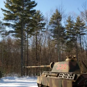 pz5_Panther_in_the_forest