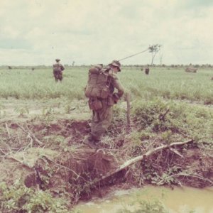 Diggers in Nam