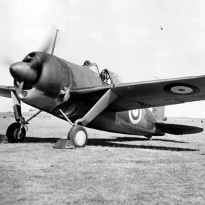 RAF BREWSTER BUFFALO