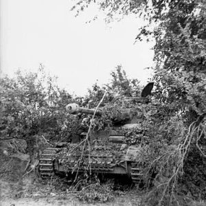 german tanks | MilitaryImages.Net