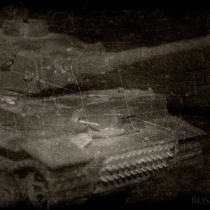 Tiger1Rostkoloss