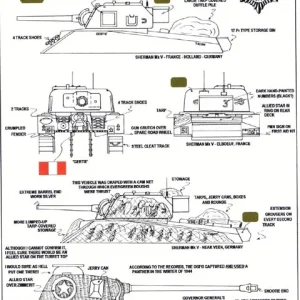 Vehicle markings