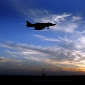 Harrier at sunset