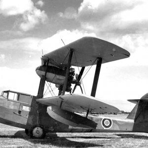 RAF Walrus - seaplane