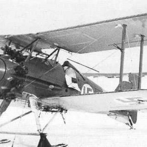 Gloster Gamecock II