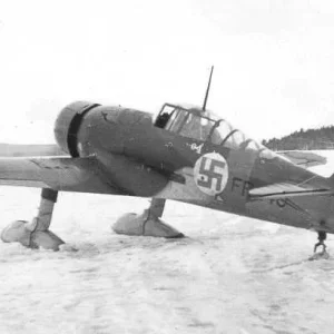 Fokker D.XXI