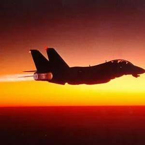 F-14 Tomcat