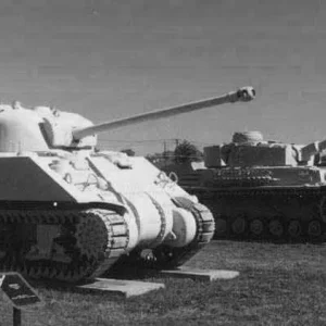 Sherman tanks