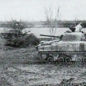 Sherman tanks