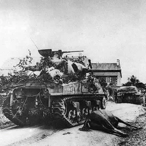 Sherman tanks