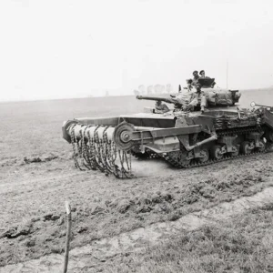 Sherman tanks