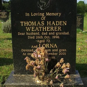 Weatherer Thomas Haden