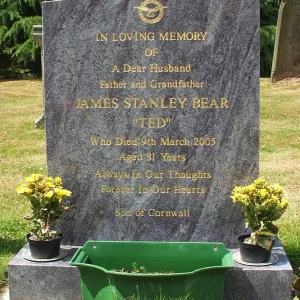 Bear James Stanley (Ted)