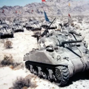 Sherman tanks