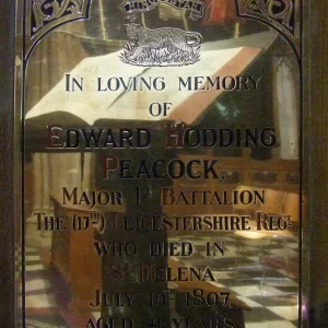 Peacock Edward Hodding