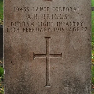 Briggs Andrew Bell