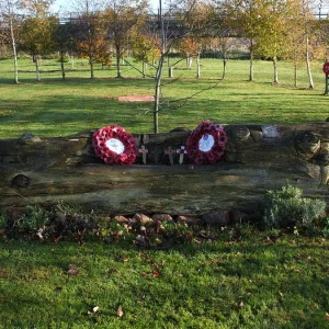 Airborne Memorial Tree Seat