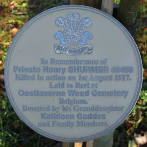 Shurmer Henry