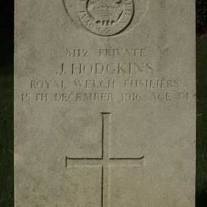 HODGKINS, JOHN