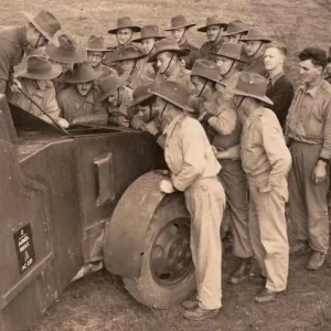 Allied armoured cars