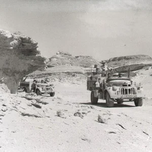 lrdg