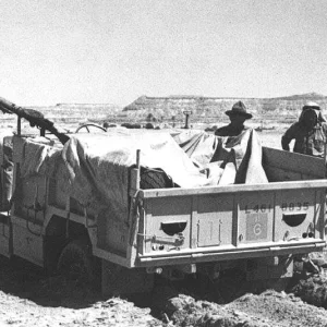 lrdg