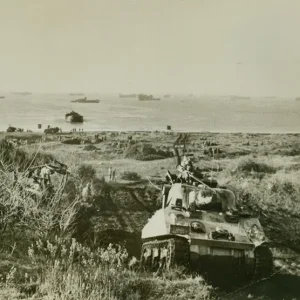 sherman tanks