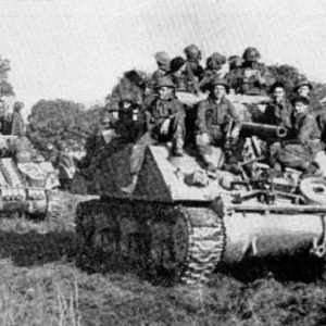 sherman tanks