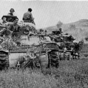 sherman tanks