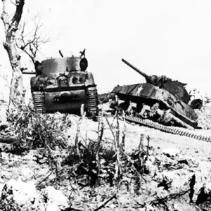 sherman tanks