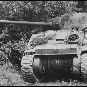 sherman tanks