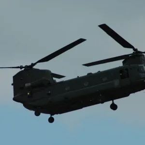 Chinook