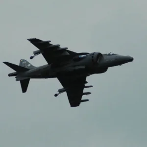 Harrier