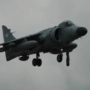 Harrier