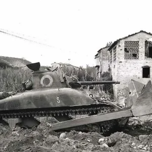 sherman tanks