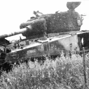 sherman tanks