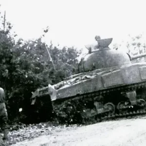 sherman tanks