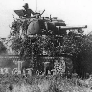 sherman tanks