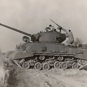 sherman tanks