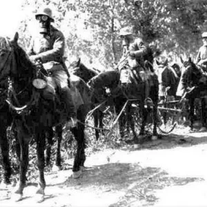 German Horse Artillery WW1