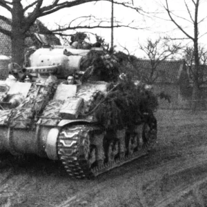 sherman tanks