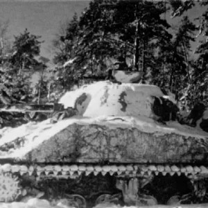 sherman tanks