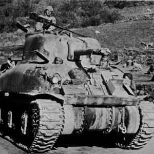 sherman tanks