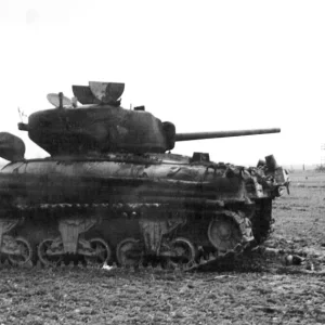 sherman tanks